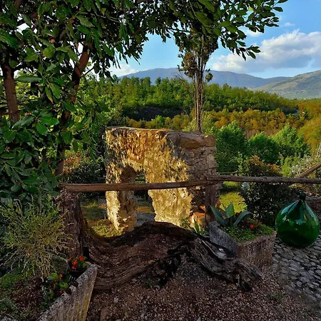 Tenuta Di Vico Moricino *