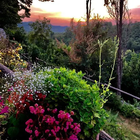 Tenuta Di Vico Moricino Farm stay