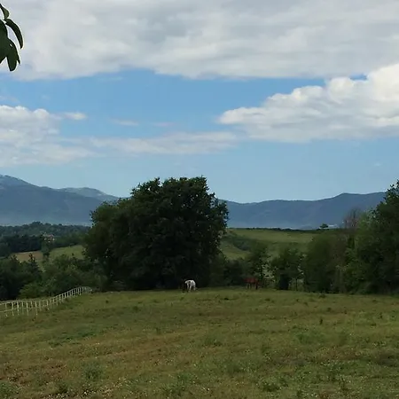 Tenuta Di Vico Moricino