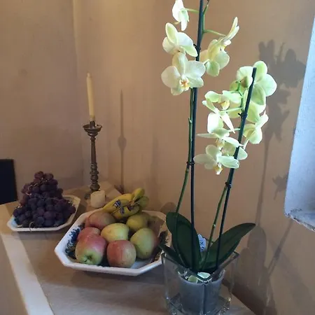 Tenuta Di Vico Moricino Farm stay