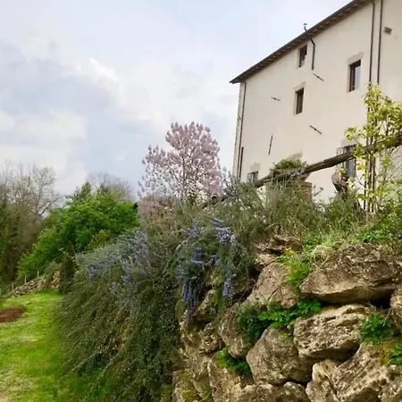 Tenuta Di Vico Moricino *